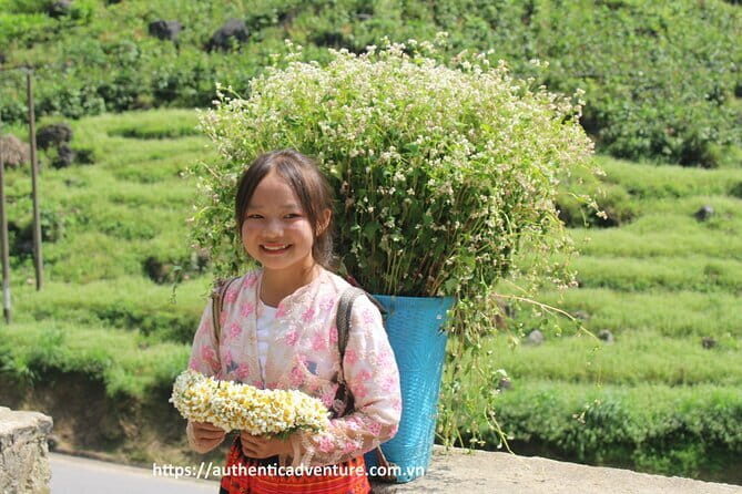 Vietnam Co Loa 4WD Tour Experience - What Travelers Love Most