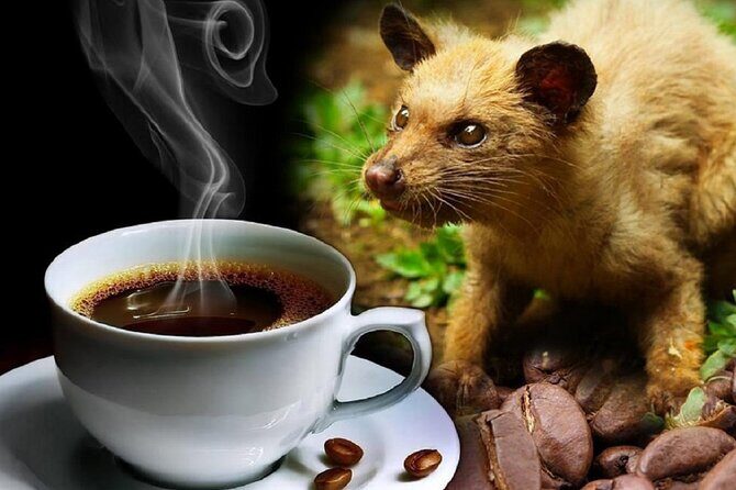 Vietnamese Culture and Coffee Making Class - The Setting and Guides