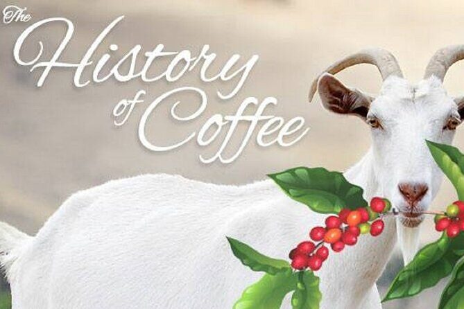 Vietnamese Culture and Coffee Making Class - Who Should Consider This Tour
