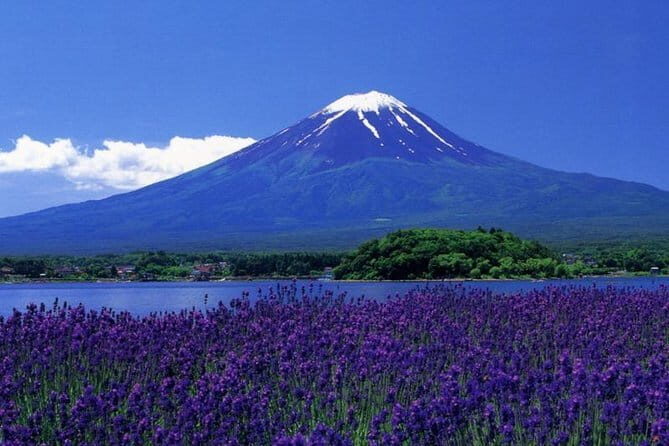 View of Mt. Fuji is good! Sushi making experience class - An In-Depth Look at the Sushi-Making Experience