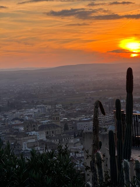 Viewpoints in the Albaicín - Why This Tour Is Worth It