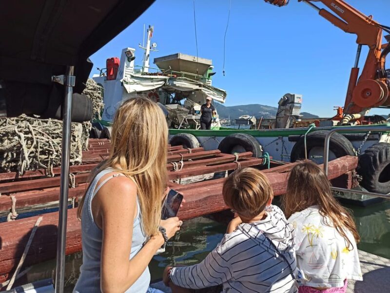 Vigo: Bay of San Simón Mussel Farming Tour - Practical Details and Pricing