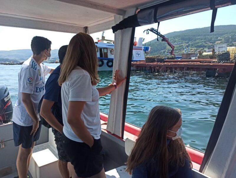 Vigo: Bay of San Simón Mussel Farming Tour - The Sum Up