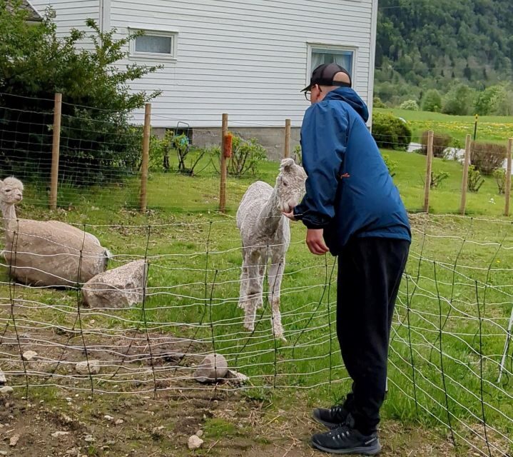 Vik i Sogn: Authentic Farm Visit - Who Will Love This Experience?