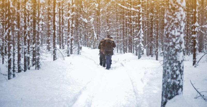 Vikakongas Hike: Nature and Silence - Exploring the Vikakongas Hike: Nature and Silence in Lapland