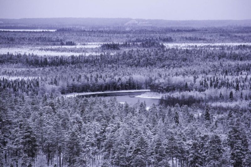 Vikakongas Hike: Nature and Silence - The Itinerary Breakdown: What to Expect on Your Vikakongas Hike