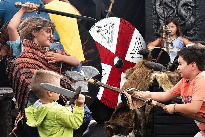 Viking Cruise Whales and Dolphins Watching - The Experience in Detail