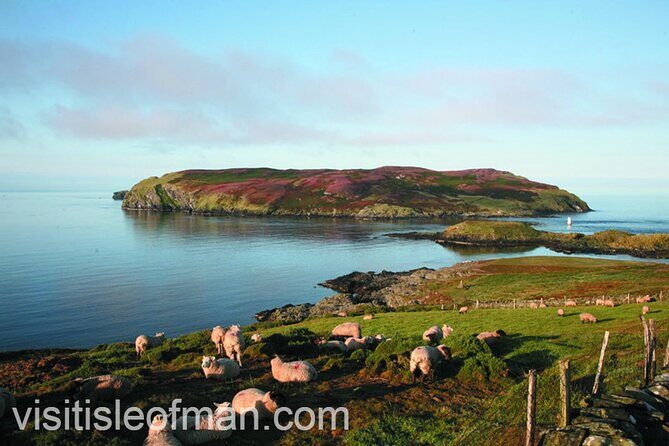 Viking Tour of the Isle of Man - Half Day - Private Tour - The Value of This Tour