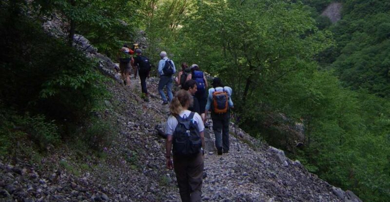 Vikos Gorge Full-Day Guided Hike - Discover the Beauty of Vikos Gorge with a Full-Day Guided Hike