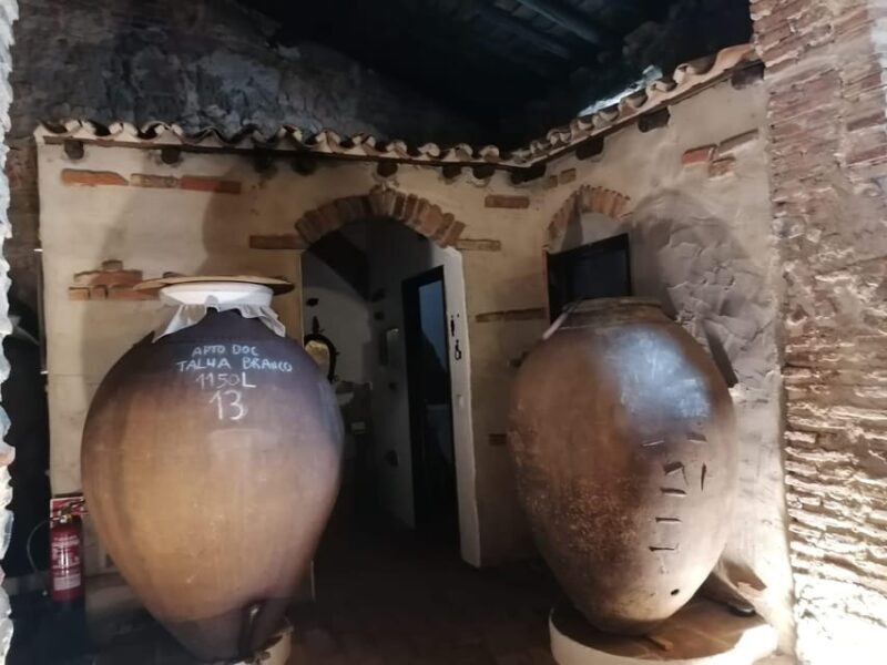 Vila de Frades: Talha Wine Tour with Tastings - Exploring the Heart of Alentejo: The Vila de Frades Talha Wine Tour