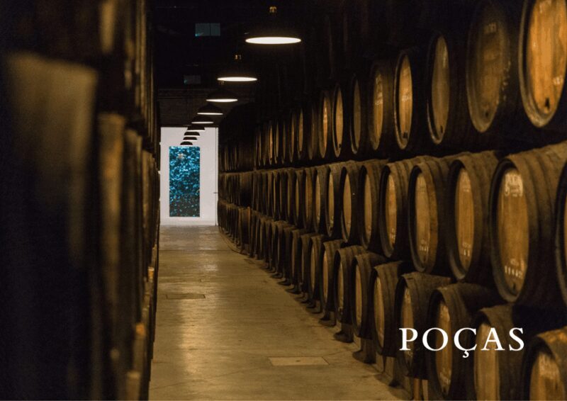 Vila Nova de Gaia: Winery Tour with 2 DOC Douro & 2 Ports - Who Is This Tour Best For?