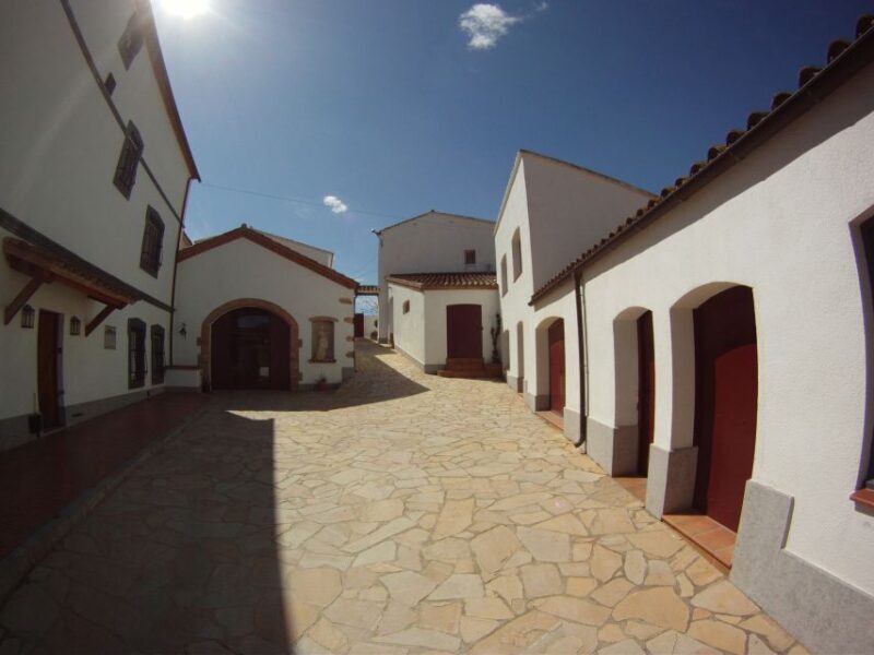 Vilafranca del Penedès: Winery Visit with Tastings - Final Thoughts