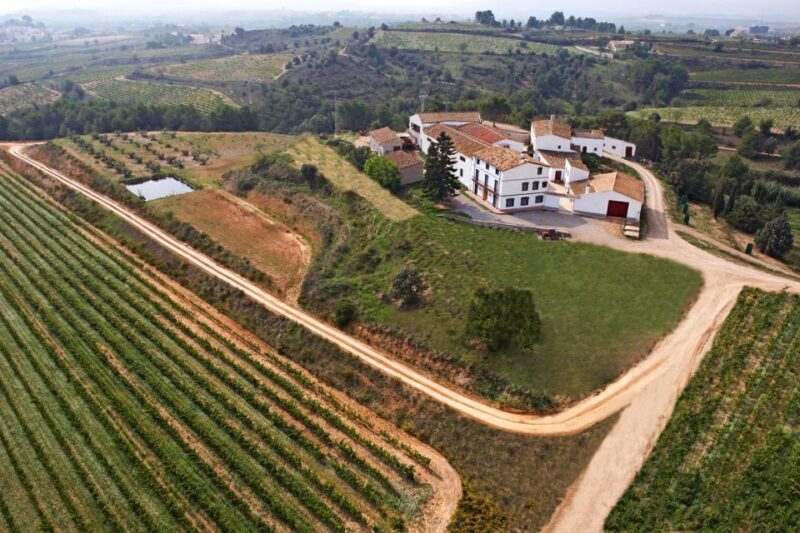 Vilafranca del Penedès: Winery Visit with Tastings - FAQ