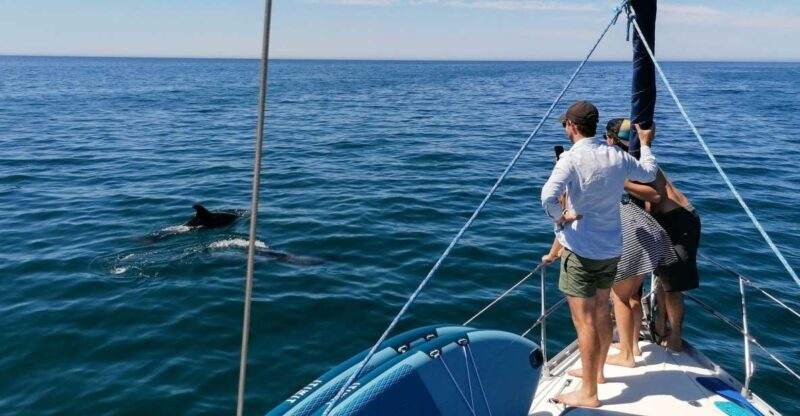 Vilamoura: Coastal Cruise on a Luxury Sailing Yacht - An Introduction to the Experience