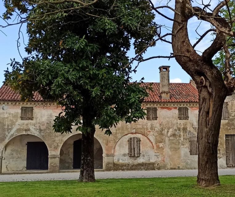 Villa Bogdano 1880: Guided Winery Tour and Tasting - Why You Should Consider This Experience