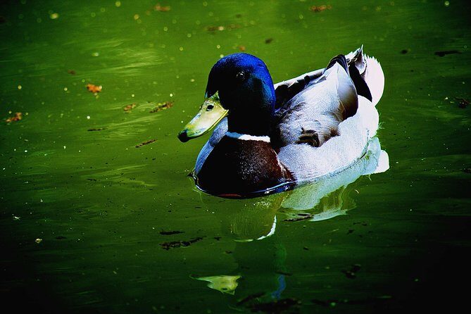 Villa Borghese and Posh Areas Unique Photo Tour and Workshop - Authentic Experiences from Reviews