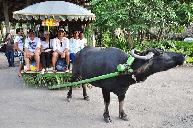 Villa Escudero Tour with Lunch From Manila (SHARED) - A Detailed Look at the Villa Escudero Tour