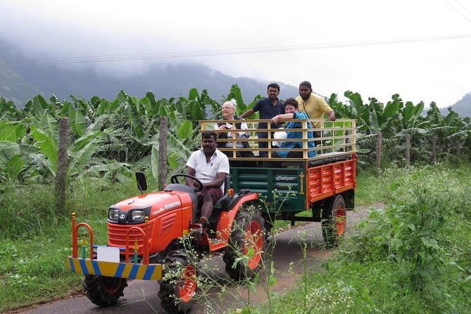 Village Bike Tour & Birdwatching - FAQs
