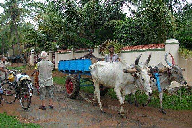 Village Biking Day Tour in Mahabalipuram - What to Expect at Each Stop