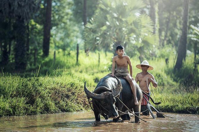 Village Life Tour from Siem Reap - Village Life Tour from Siem Reap: An Authentic Look into Rural Cambodia