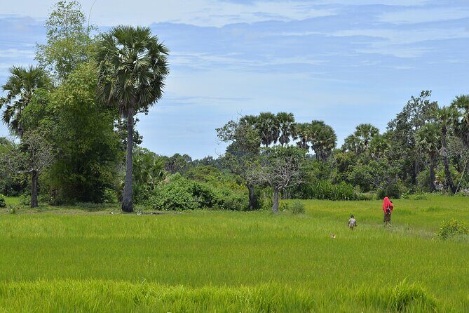 Village Life Tour from Siem Reap - Key Points