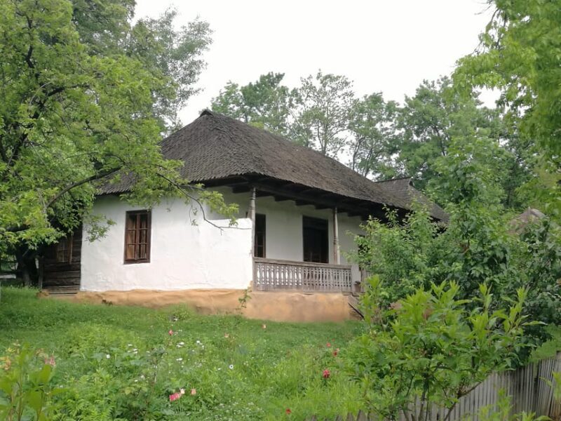 Village Museum Bucharest Guided Tour - Discover the Charm of Bucharest with a Guided Tour Including the Village Museum
