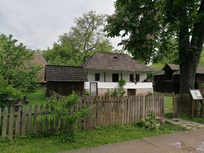Village Museum Bucharest Guided Tour - Who Should Consider This Tour?