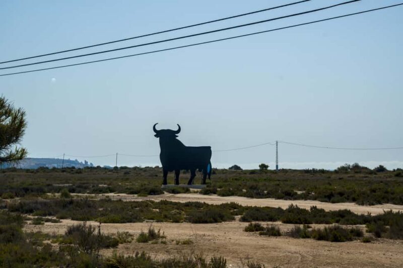 Village Street Market: Santa Pola - Key Points