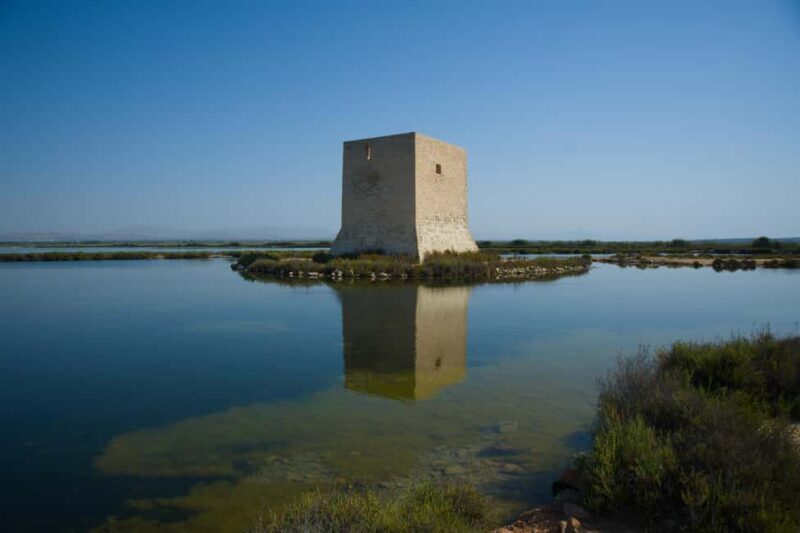 Village Street Market: Santa Pola - The Vibrant Santa Pola Market Experience