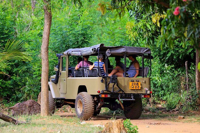 Village Tour by Classic Jeep from Habarana - An Authentic Look at Sri Lanka’s Village Life