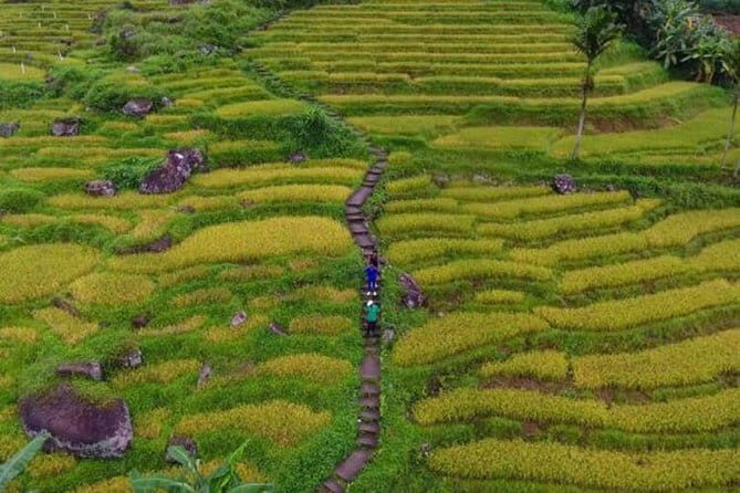 Village Trekking Tour At Ramboda With Authentic Village Lunch - Exploring the Village Trekking Tour at Ramboda with Authentic Village Lunch