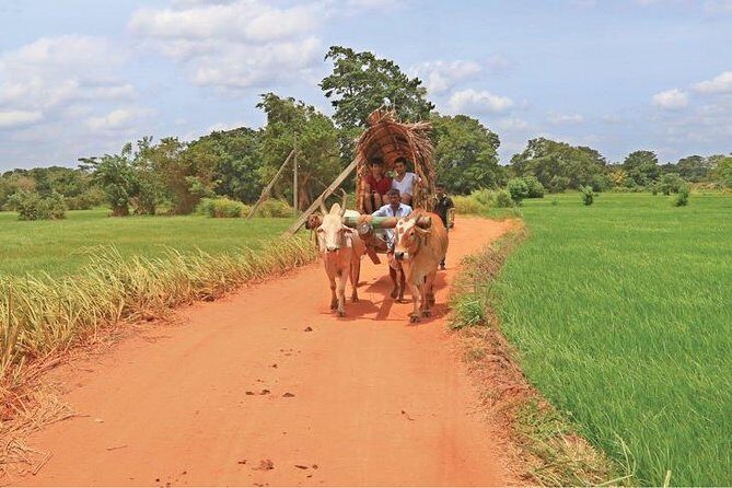 Village Trekking Tour Sigiriya - What You’ll Love About This Tour