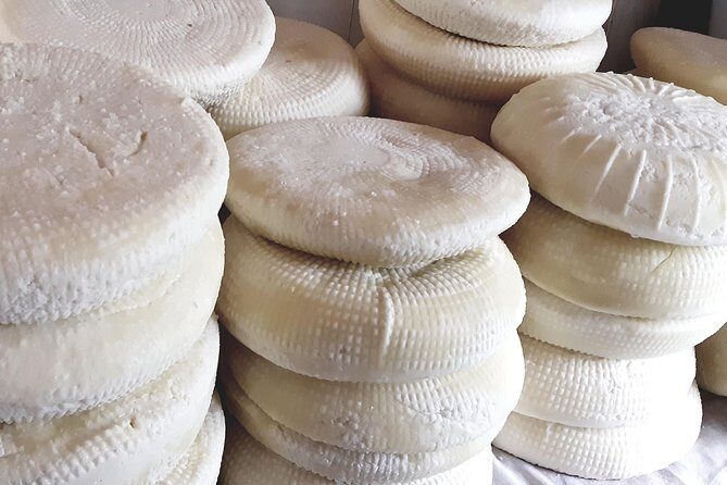 Village Venture: Troodos Mountains Food & Wine Small Group Day Tour - Value for Money