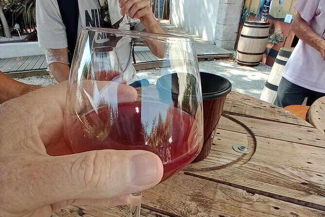 Villages and wine tasting around the Pic Saint Loup - A detailed look at this tour