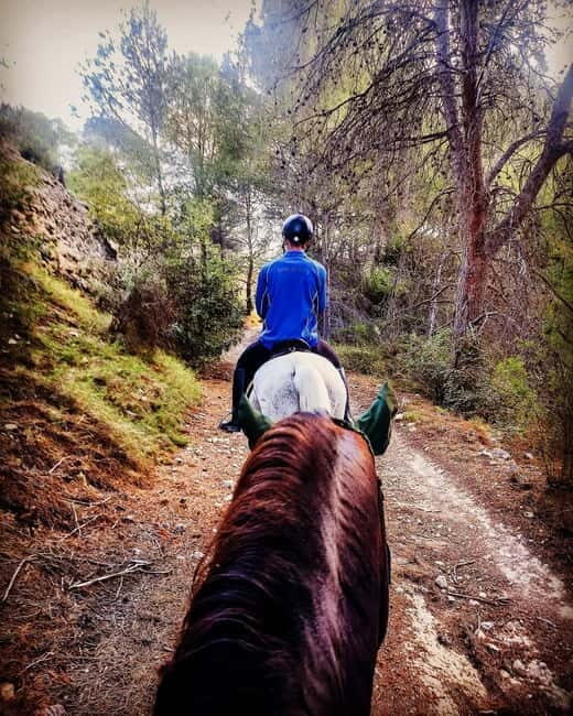 Villajoyosa: Horseback Riding in the Mountains - Who Will Love This Tour?