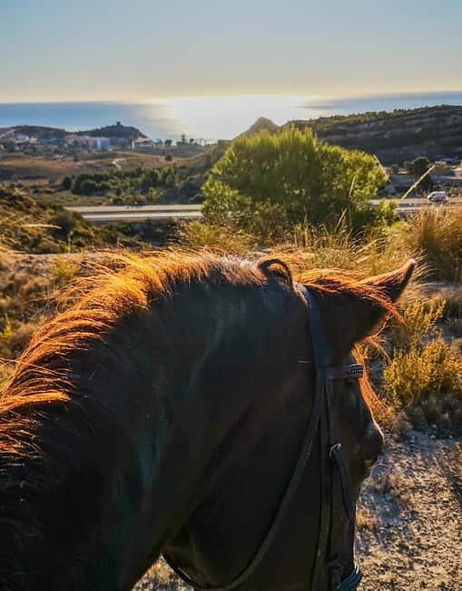 Villajoyosa: Horseback Riding in the Mountains - The Sum Up