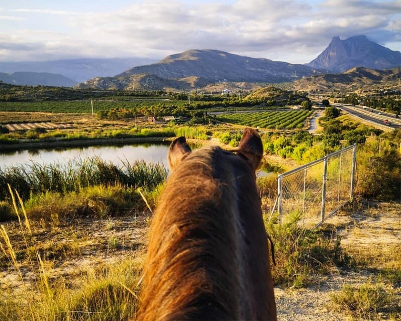 Villajoyosa:2-hour Horseback Riding Tour - Frequently Asked Questions