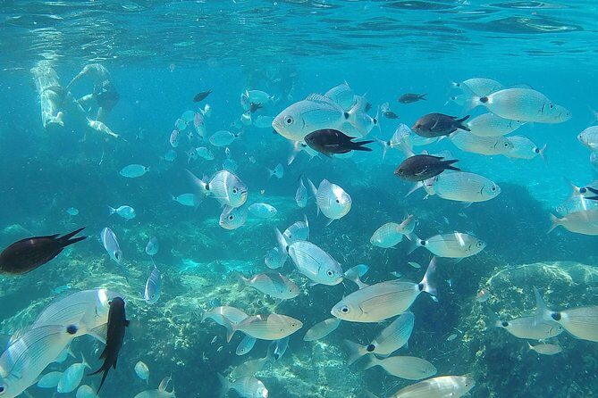 Villasimius and Solanas Beaches Day Trip from Cagliari with van - Final Thoughts: Who Is This Tour Perfect For?