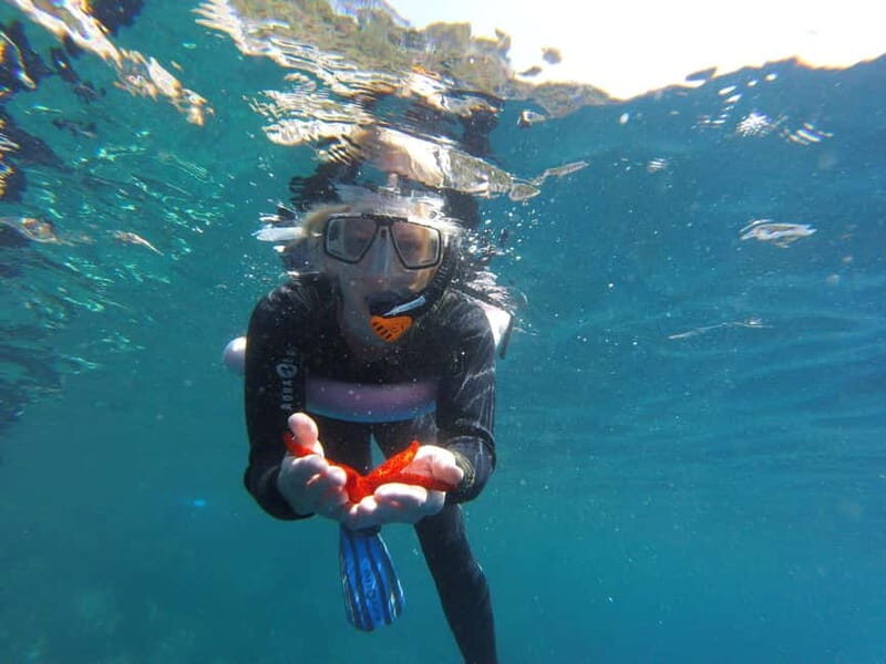 Villefranche-sur-Mer / Nice: snorkeling in privacy on a private boat - The Value of This Private Snorkeling Tour