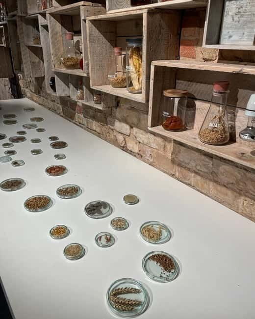 Vilnius: Beer Tasting Experience with Snack Platter - Key Points