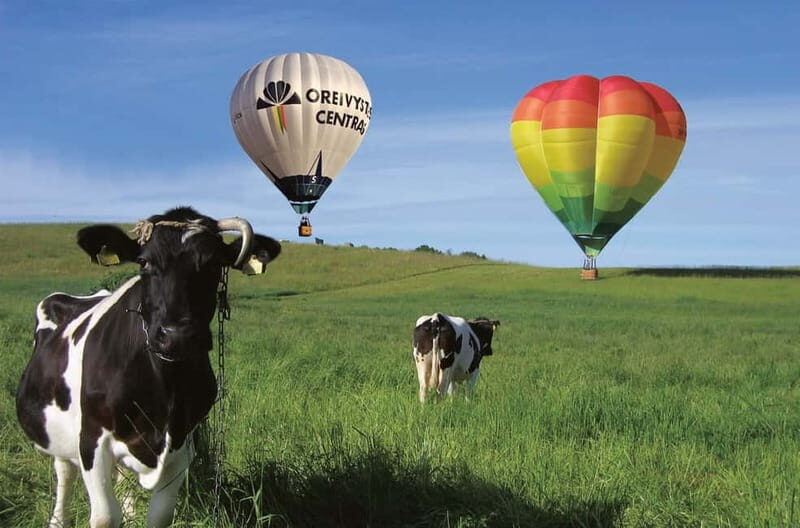 Vilnius or Trakai: Hot Air Balloon Flight - Practical Details That Matter