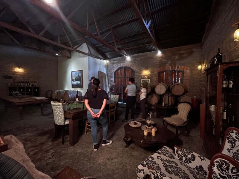 Viña Cordelia: Guided visit to the vineyard - Exploring the Experience of a Guided Visit to Viña Cordelia