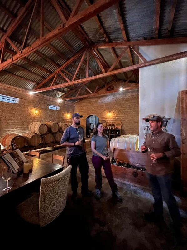 Viña Cordelia: Guided visit to the vineyard - A Closer Look at the Viña Cordelia Tour