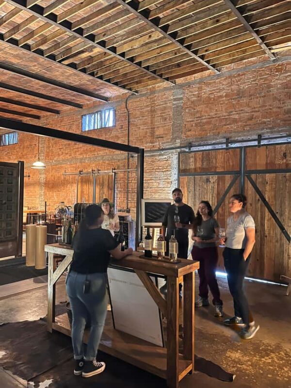 Viña Cordelia: Guided visit to the vineyard - The Sum Up: Who Will Love This Experience?