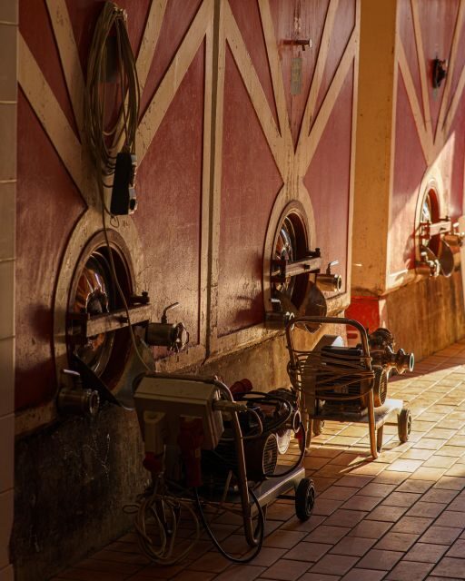 Vinci: wine-experience among the Tuscan hills - Exploring the Vineyard and the Views