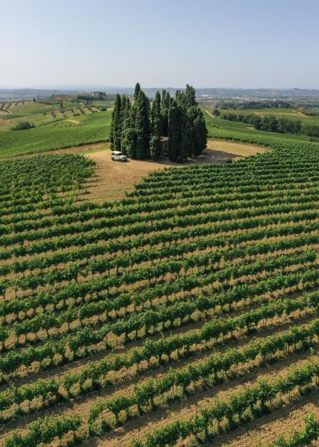Vinci: wine-experience among the Tuscan hills - The Tasting Experience