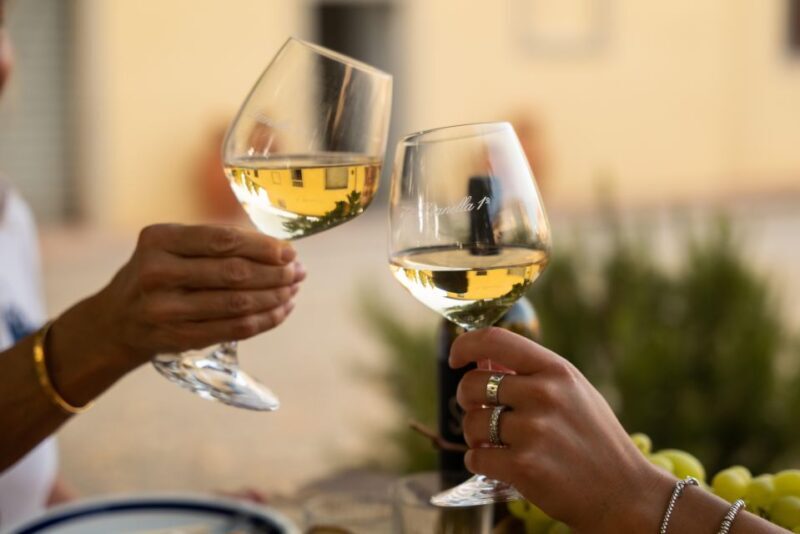 Vinci: wine-experience among the Tuscan hills - Practical Details and Value