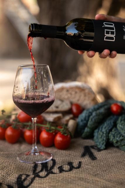 Vinci: wine-experience among the Tuscan hills - What Makes This Tour Stand Out?