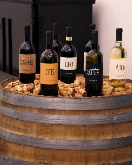 Vinci: wine-experience among the Tuscan hills - Who Should Consider This Experience?