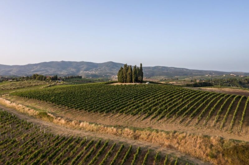 Vinci: wine-experience among the Tuscan hills - Frequently Asked Questions